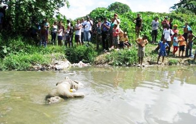 Encuentran cadáver de un hombre en las aguas del Río Moca